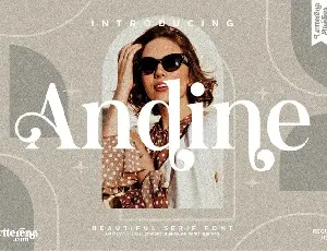 Andine Serif font