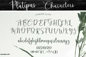 Platipus Script font