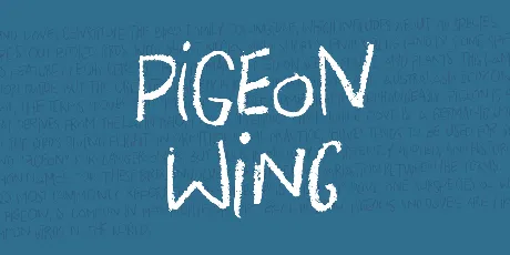 Pigeon Wing DEMO font