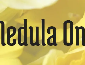 Medula One font