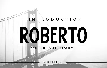 Roberto font