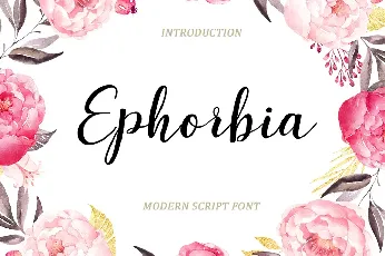 Ephorbia font