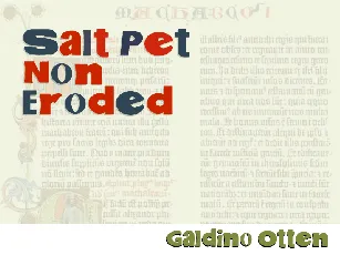 Salt Pet Non Eroded font