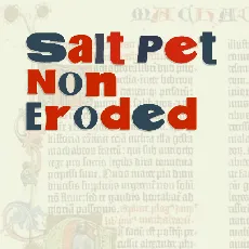 Salt Pet Non Eroded font