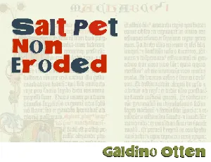 Salt Pet Non Eroded font