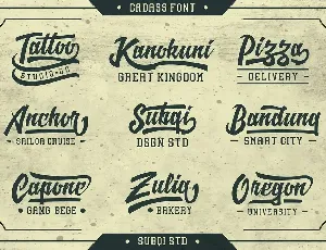 Cadass Script font