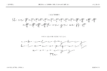 Brandise Signature font