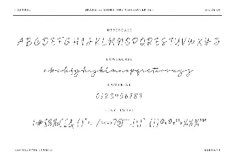 Brandise Signature font