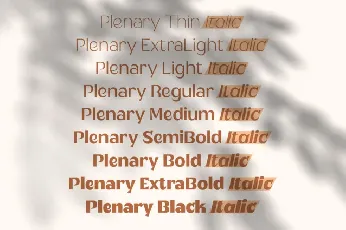 Plenary font