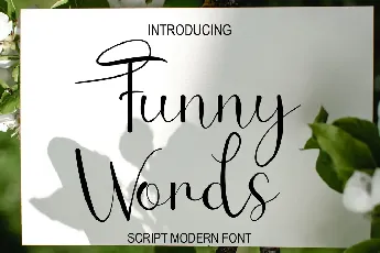 Funny Words font