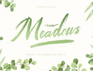 Meadows Script font