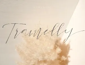 Tramelly font