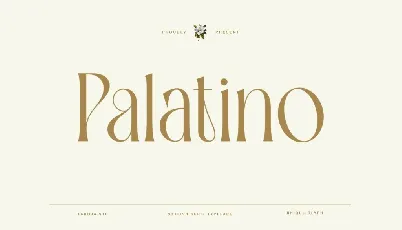 TBJ Palatino Mini Edition font