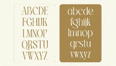 TBJ Palatino Mini Edition font