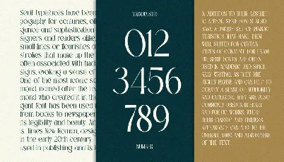 TBJ Palatino Mini Edition font