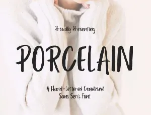 Porcelain font