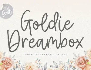 Goldie Dreambox Monoline Handwritten font