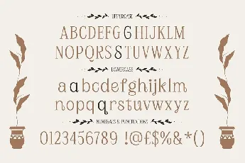 Plafisco font