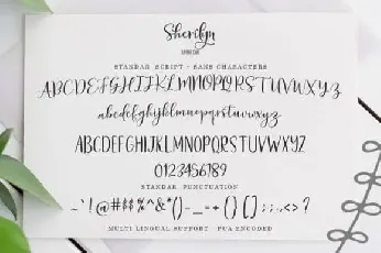 Sherilyn Script font