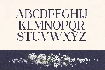 Sangect Display font