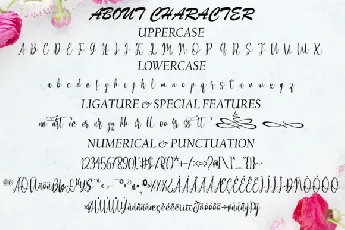 Allacarte Calligraphy font