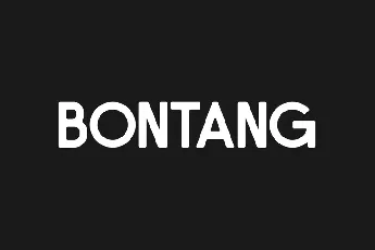 Bontang font