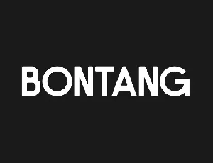 Bontang font