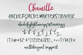 Chamille Duo font