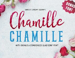 Chamille Duo font