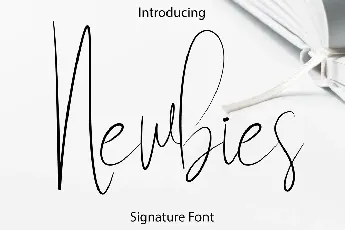 Newbies font