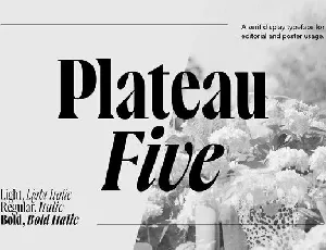 Plateau Five Family font