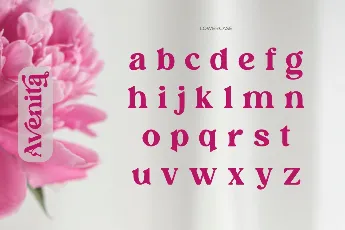 Avenita font