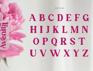 Avenita font