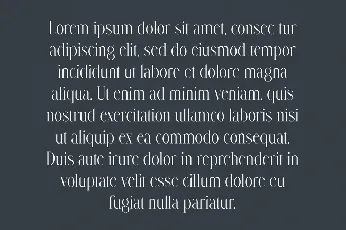 Maxon font