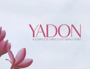Yadon Sans Serif font