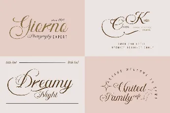 Bidena trial font