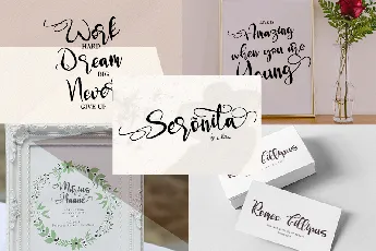 Seronita font