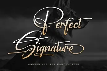 Perfect Signature font