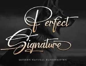 Perfect Signature font