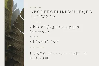 Matcha font