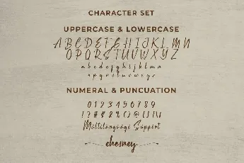 Chesney Demo font