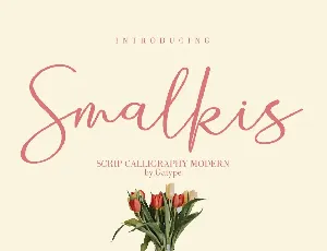 Smalkis font