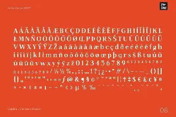 Captione font