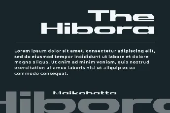 Hibora font