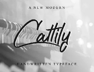 Cattily Calligraphy font