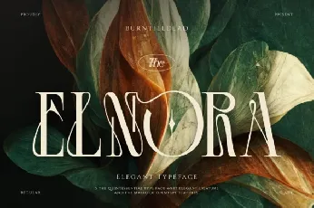 Elnora font