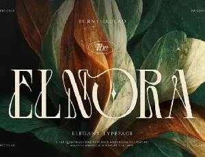 Elnora font