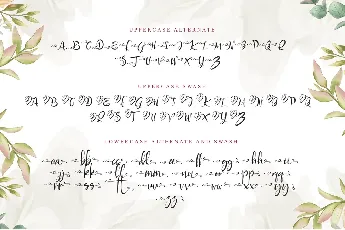 Rayya font