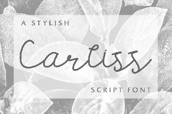 Carllis Script font