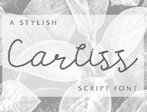 Carllis Script font